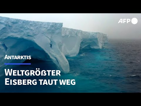 Weltgrößter Eisberg verschwindet | AFP
