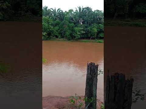 🎣PESCARIA no RIO VERMELHO! 🎣 A Beleza de Rondonópolis-MT #Shorts