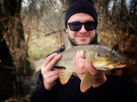 SI VA AD ASPI SUL TICINO MA....LIGHT SPINNING FIUME TICINO - РЫБАЛКА СПИННИНГ