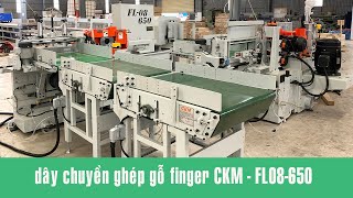 ĐẠI PHÚC VINH | Dây chuyền ghép gỗ, hệ thống ghép gỗ CKM FL 08S