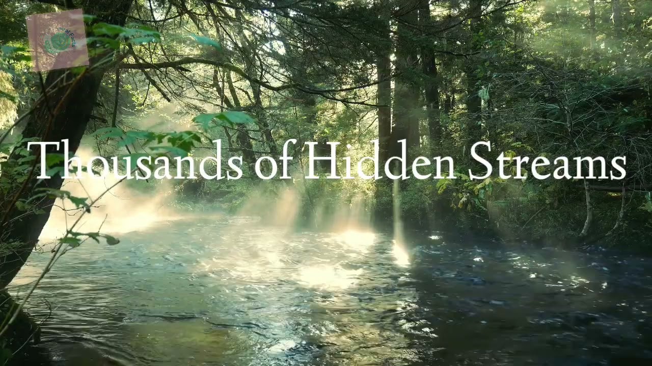 🌄 Western Ghats: Paradise of India 🌿🌿 Explore the Magic of Western Ghats | Nature Documentary