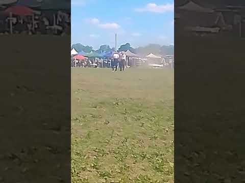 47° fiesta de la tradición buena esperanza San Luis