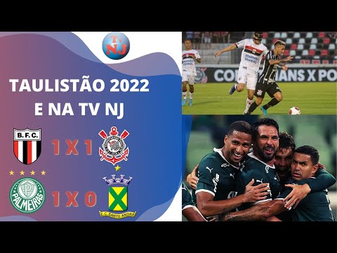 Palmeiras 1 x 0 Santo André - Paulistão - Botafogo-SP 1 x 1 Corinthians