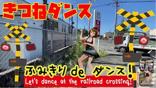 踏切動画 【踏切ダンス】ローソン看板の踏切で「きつねダンス」《縦動画＃17 》