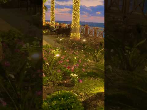 One of the best places 🇸🇾