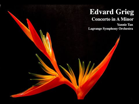 Yannie Tan | Concerto in A minor by Edvard Grieg, 1st Mov.