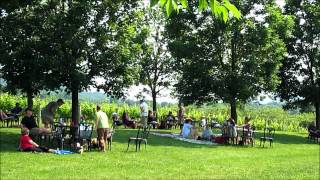 preview picture of video 'Breaux Winery & Vineyards - Video Tour - Purcellville Virginia, USA'
