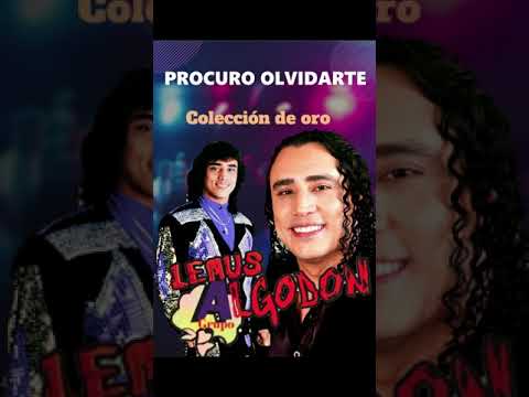 GRUPO ALGODON-PROCURO OLVIDARTE