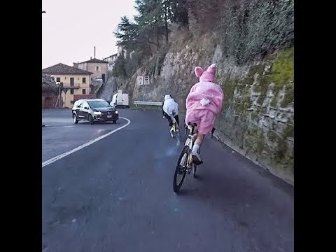 Burn your Tires not your soul - INCREDIBLE MATCH - Rabbit vs PANDA - DAFNEFIXED