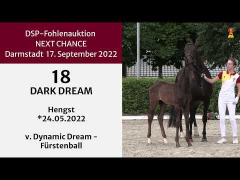 KN 18: Hengstfohlen v. Dynamic Dream / Fürstenball