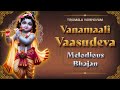 Vanamali Vasudeva Melodious Krishna Bhajan ISKCON Devotional Song Govinda Hare Murari