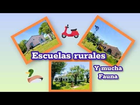 Escuelas rurales del partido de Chascomús 🏍️ mucho campo y fauna 
