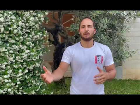 International Day of Families 2021- Silvio Chiha - Professional Athlete