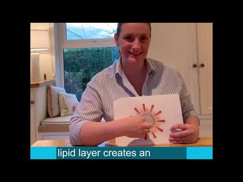 How understanding Covid-19 should inform what we do.