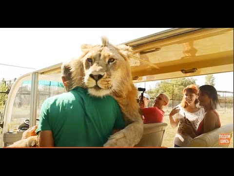 Филя хочет ласки и внимания