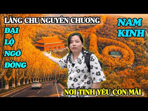 Lăng Mộ Chu Nguyên Chương - Quá Đẹp Hàng Cây Ngô Đồng Ở Cung Điện Tống Mỹ Linh Tại Nam Kinh!