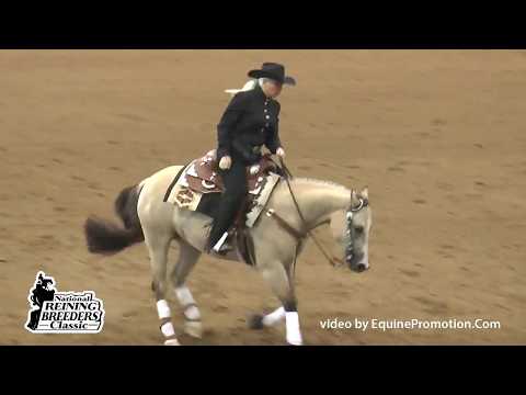 Dunit The Gunner Way ridden by Kelle Smith - 2014 NRBC(NP Finals)