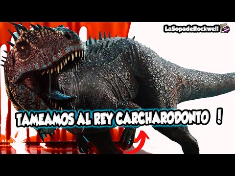TAMEAMOS CARCHARODONTO ARK | TAMEAR CARCHA CONSEJOS 🔥