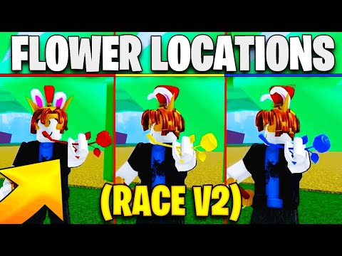 How To Get Race V2 - Blox Fruits: All Flower 3 Locations Red, Blue, Yellow