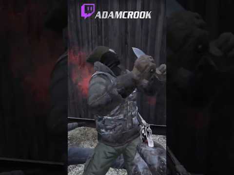 A Christmas Miracle on DayZ Namalsk