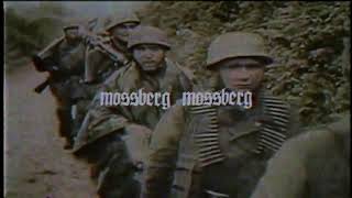 2UPSET2DIE x LIL KAINE - HATE ALL ARROUND THE GLOBE (287)