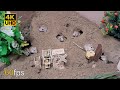 Cat TV mice digging burrows / holes in sand and hide & seek for cats to watch 4k 8 hour UHD