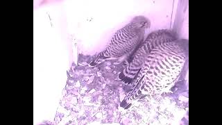 Vom Teilen hält er nichts