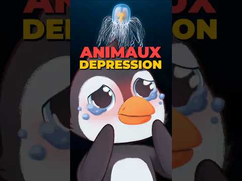 😨 la fin #nature #animaux