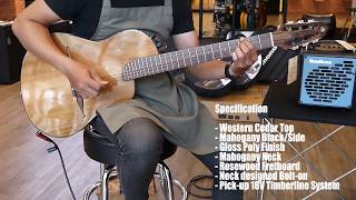 Video thumbnail for Strings Quick Demo :  Renaissance RN6 Hybrid By Rick Turner Guitars by Strings Shop