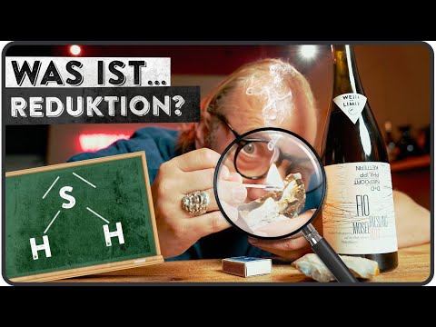 Weinfehler oder Meisterwerk - Was ist Reduktion? - 5 MINUTEN FÜR WEIN AM LIMIT