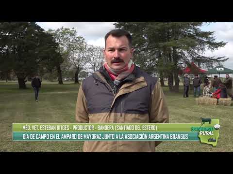 El Amparo de Mayoraz: un productor destacó la importancia del Brangus en el norte argentino