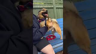 Opie