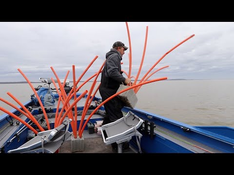 Placing HOME MADE Structure For CRAPPIE Fishing(Stake Beds)