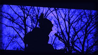 Jean Leloup - Au jardin de ma mère [vidéoclip officiel]