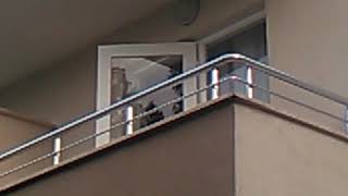 Moaning in Hotel Sidelya.