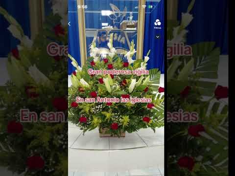 Vigilia en san Antonio las iglesias