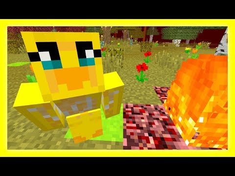 Feather Adventures : FIELD ON FIRE - {260}