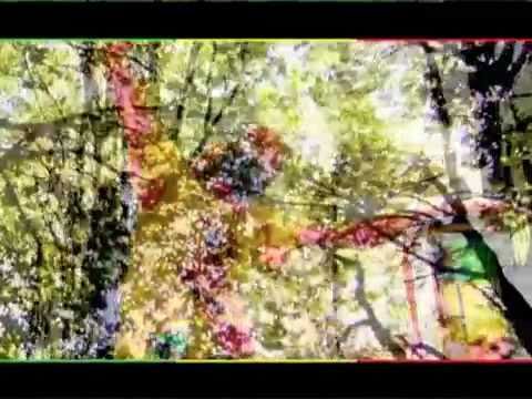 Ras ft. Tewelde, Lion D, Faianatur - Mirror Riddim Medley