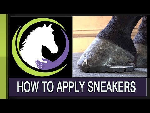 download lagu mp3 mp4 Horseback Riding Sneakers, download lagu Horseback Riding Sneakers gratis, unduh video klip Horseback Riding Sneakers