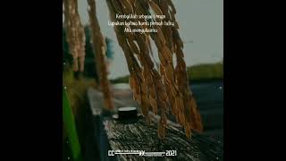 Download lagu Story'Wa 'Tangise Sarangan' 2021 mp3