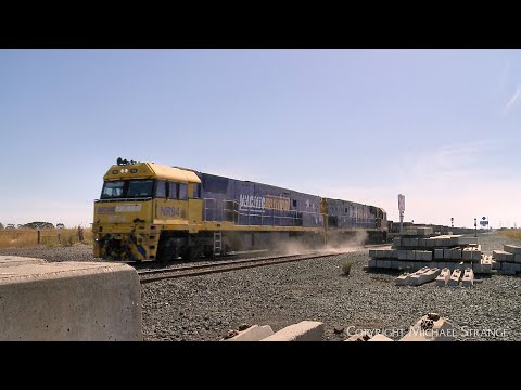 3XM4 Pacific National Steel Train & John Deere Tractor At Railway Crossing (11/1/2023) - PoathTV