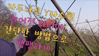 Y자 수형 자두나무 늘어진 와이어 쉽게 팽팽하게 하는 도구 와이어조정기