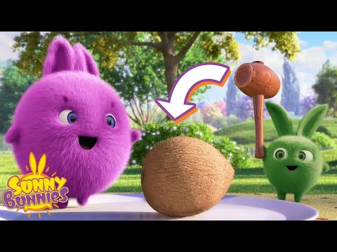 Big Boo needs help to crack open this coconut | Sunny Bunnies
