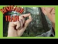 Conifers Dinosaur Train The Jim Henson Company