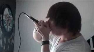 Suicide silence Eyes sewn shut vocal cover