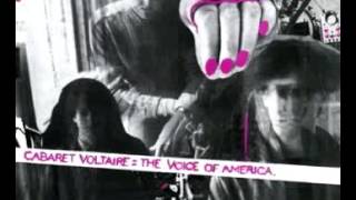 Cabaret Voltaire - Voice of America/Damage is Done