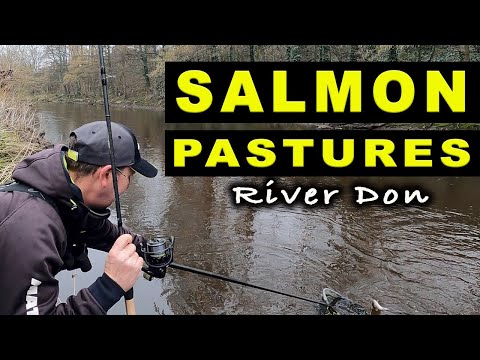 RIVER Fishing MISSION - River Don