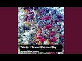Winter Flower Shower Sky