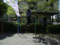 Reverse grip 42 muscle ups 成嶋武の逆手マッスルアップ42回