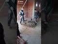 Rire Avec Les Algérien Mort De Rire اضحك من كل قلبك مع الجزائري تموت با